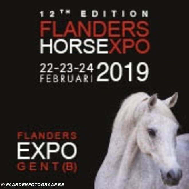 Mennen @ Flanders Horse Expo - Gent