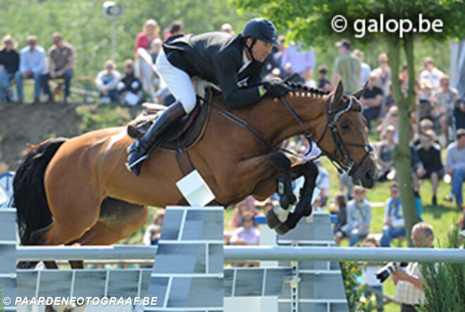 Delaveau voor talentvolle Belgische paarden