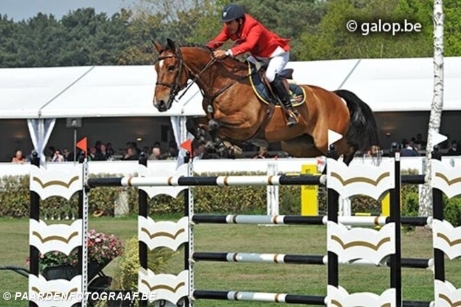 Horse Auction Belgium gaat voor Kwaliteit