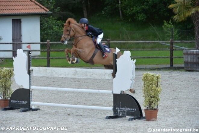 Belgisch ponyteam 3e in landenprijs Chevenez