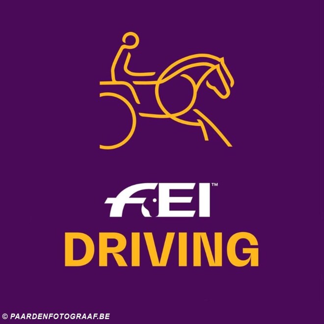 FEI Driving video's WB finale Bordeaux