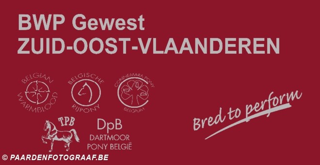 SELECTIEWEDSTRIJD FLANDERS BWP CUP