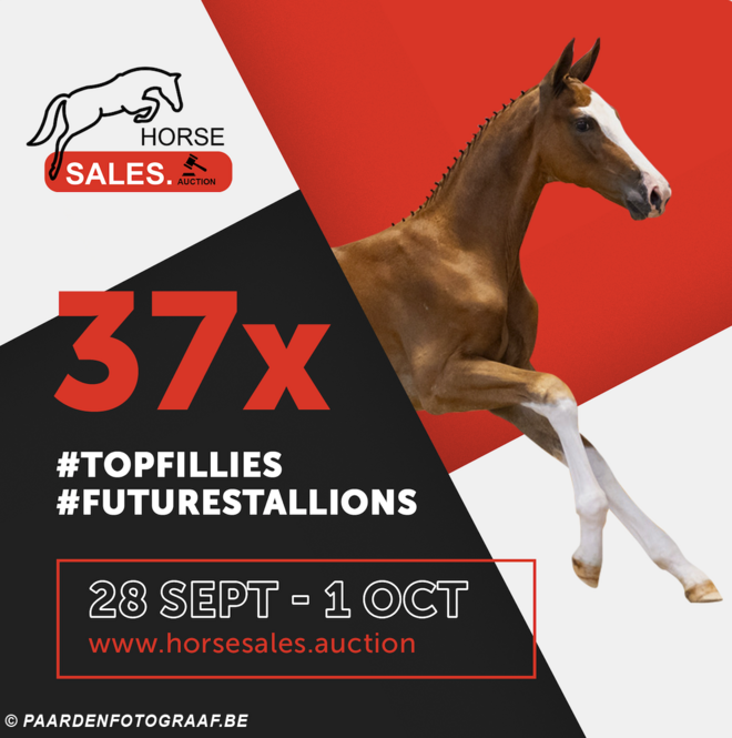 HorseSales.Auction '23 Grab your chance editie.