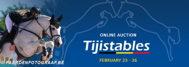 Online Auction voor Tiji Stables