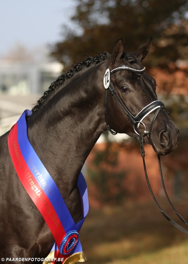 Ogano-zoon goedgekeurd voor Oldenburg