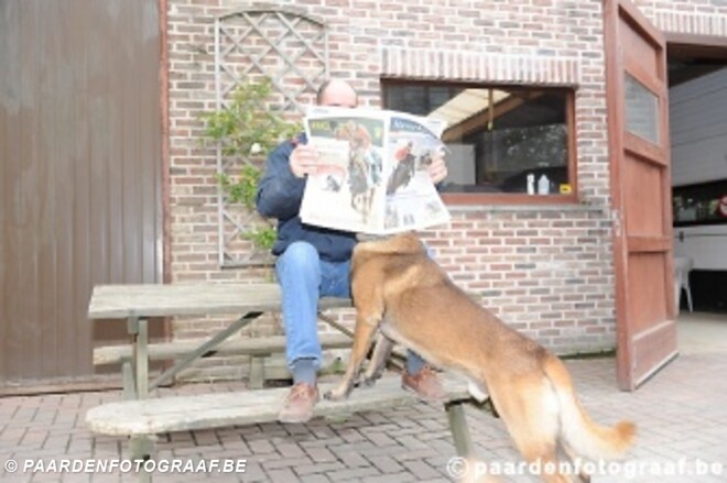 Veel hengsten in nieuwe Haverklap