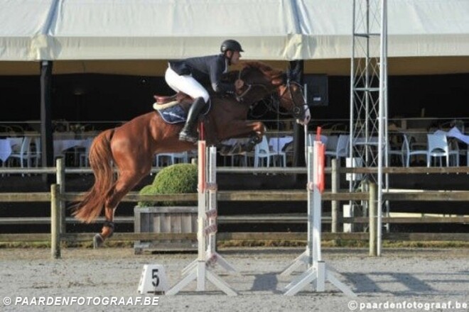 Hercules by Immofluisteraar tweede in GP