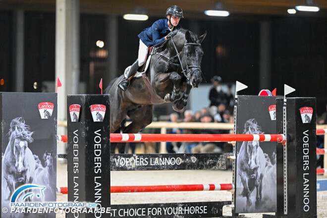 Foto's Lannoo Belgian Stallion Competition zijn online