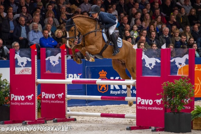 Justice HL winnaar KWPN hengstencomp. L