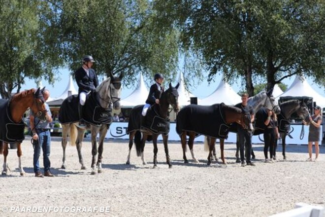 Hengsten met de meeste jonge springpaarden in 2023