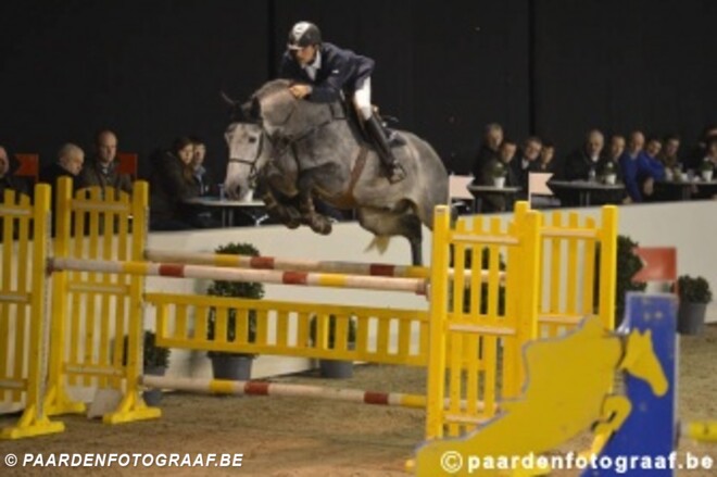 Pavo Hengstencompetitie: Geslaagde permiere in Gesves