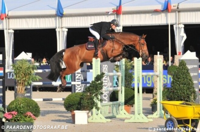 Homer de Rêve naar Stephex Stables