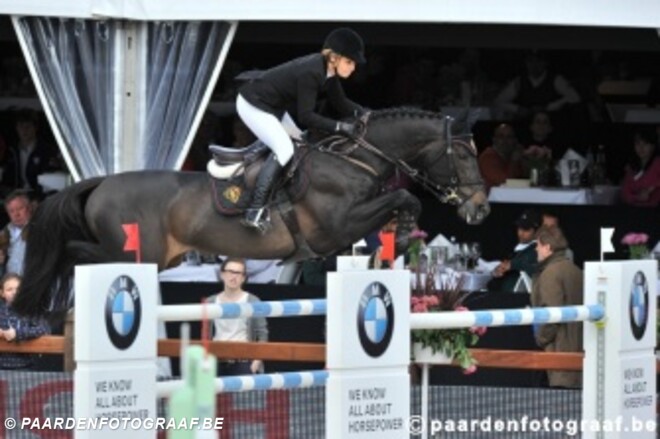 Wereldtopper op hengstenshow Roshoeve