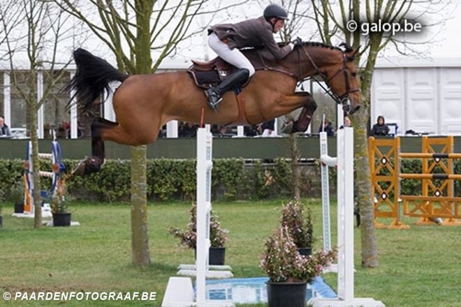 Stal Ceulemans houdt 2de online veiling