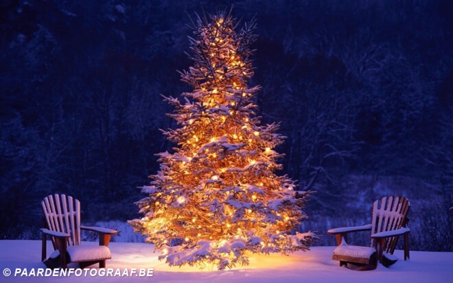 Prettig kerstfeest!