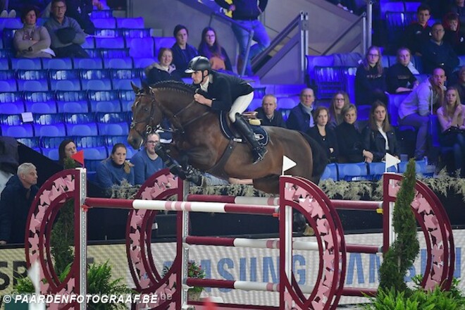 De zeven nieuwe BWP Elitehengsten