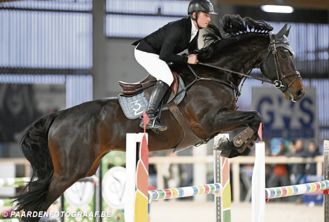 Hoe win je de Hengstencompetitie? Een handleiding van Rik Heylen.