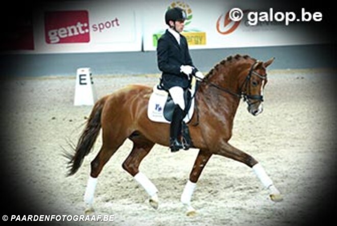 Foto"s CSI Gent en Hengstenshow Bagoniebos online