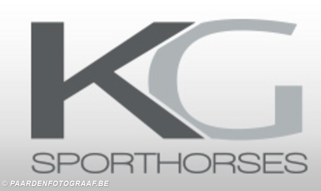 K&G sporthorses is op zoek naar pony's