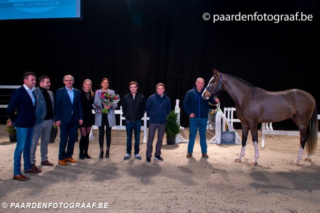 €45.000 voor topper Horse Auction Belgium!