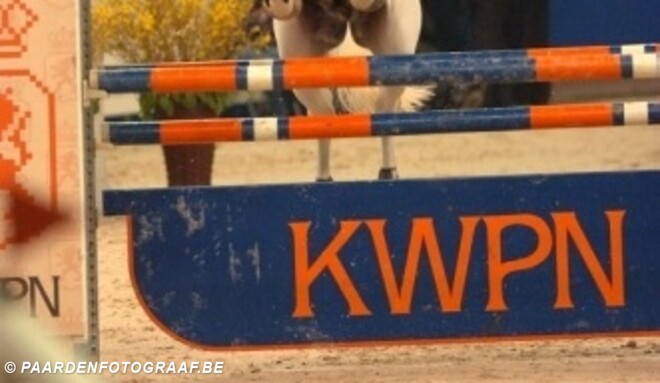 Hengstencompetitie Goubergh: Zelfde winnaars