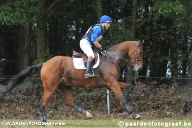 Joris Vanspringel in top 10 CIC2* Vale Sabroso
