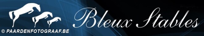 Bleux stables is dringend op zoek naar pony"