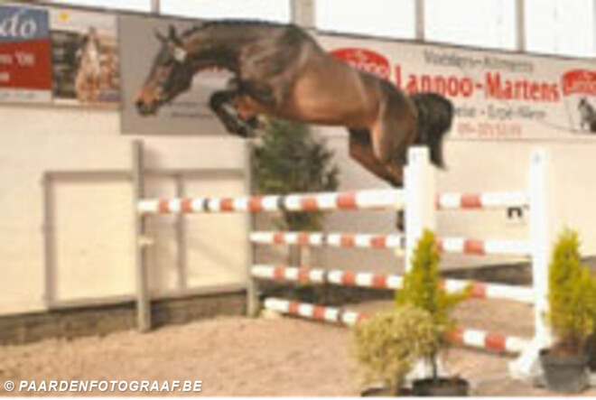 Open Kampioenschap Vrijspringen - BWP-Oudenaarde op zondag 24 februari aanvang om 9 uur!