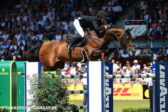 Verdi TN is Paard van het jaar in Nederland!