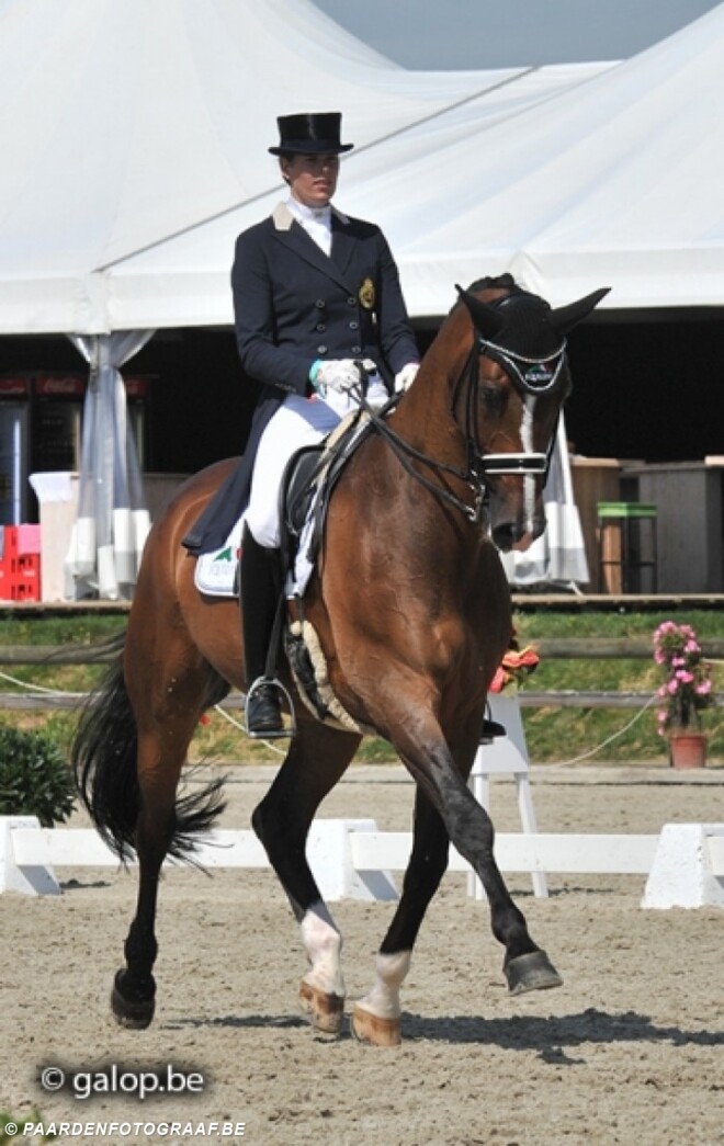 Resultaten CDI3* Zandhoven