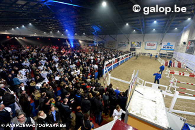 44000 euro voor Cumano op Horse Auction Belgium