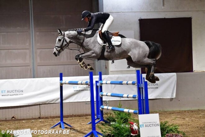 Harthago vh Bellehof topper ET Auction!
