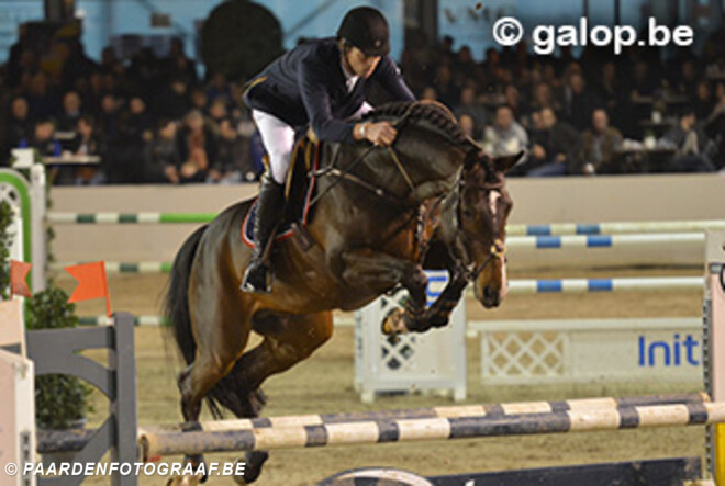 Hengstencompetitie WEN: Okidoki vh Gelutt Z en Hunters Scendro