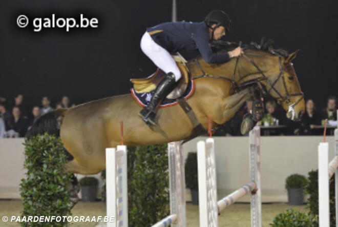 Regina Z slaat weer toe
