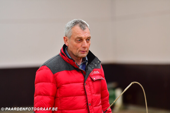 BWP Elite Foal Auction tijdens CSI3* Lier