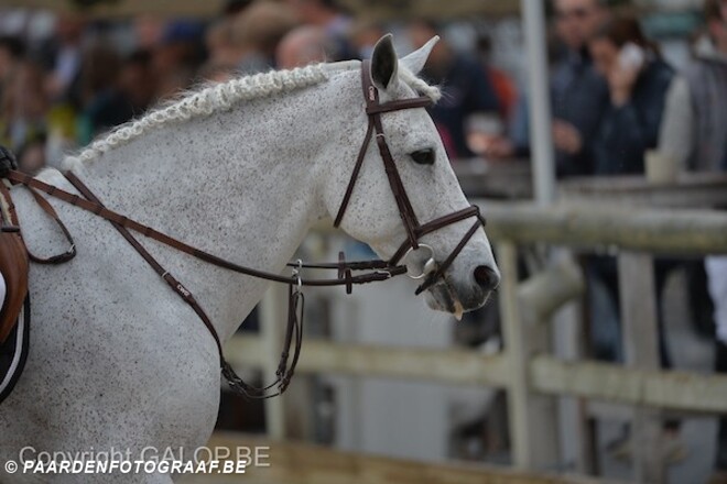 JM18: Rik Nauta wint IM Ponies 1m