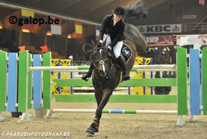 Okidoki van t Gelutt wint hengstenproef 7-jarigen