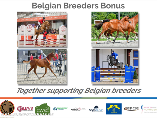 Belgian Breeder’s Bonus