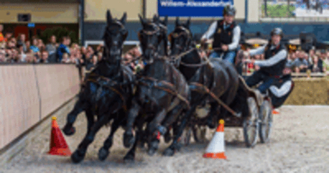 Wie gaat er gratis naar Paard & Koets