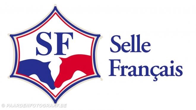 SF maakt volbloedzoon kampioen