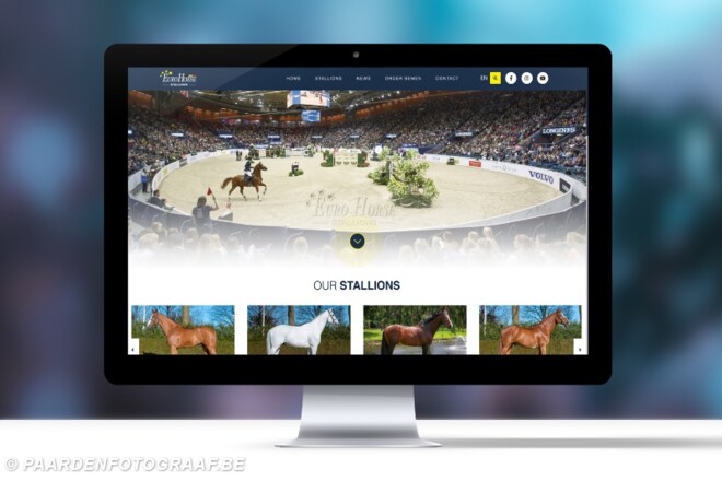 Eurohorse pakt uit met 'Eurohorse Stallions'