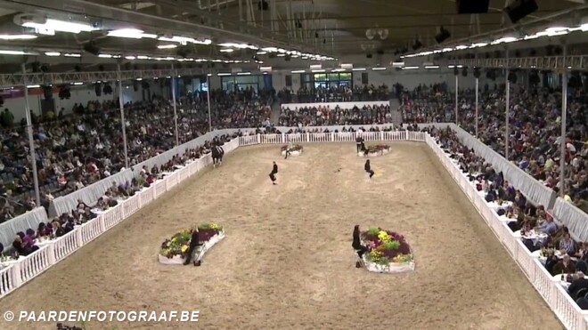 1,2 Miljoen euro voor dressuurhengst