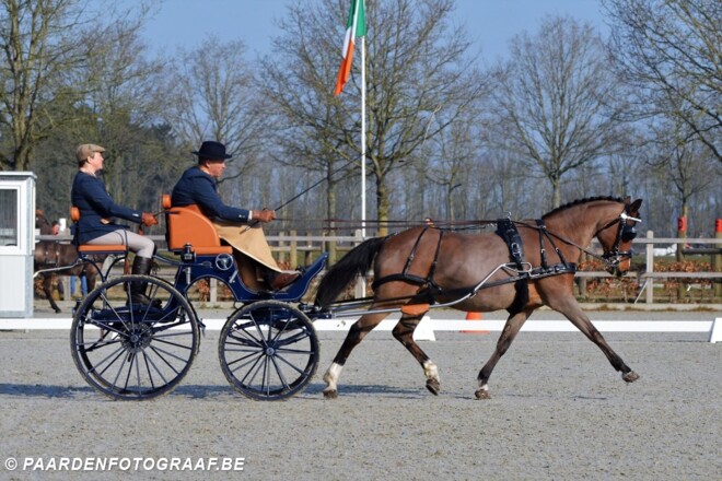 Mooie Belgische resultaten in Exloo