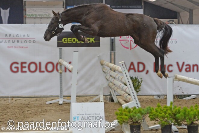 Belgian Youngster Trials breekt alle records