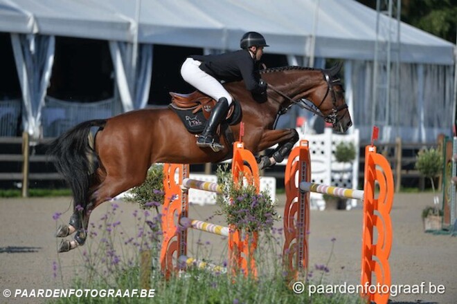CSI4* Luik: Frédéric Vernaet in de top 10!
