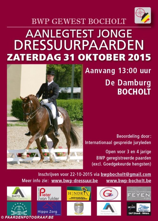 Aanlegtest jonge dressuurpaarden - Bocholt