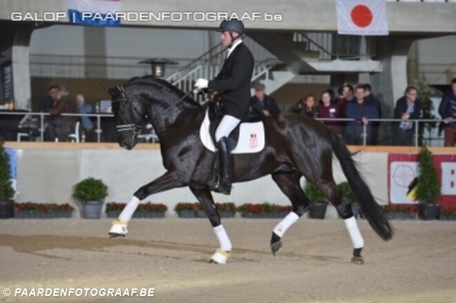 BK jonge dressuurpaarden Gesves: de podia