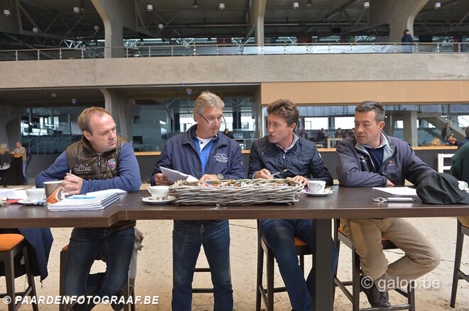 Kwaliteit verzekerd op Horse Auction Belgium