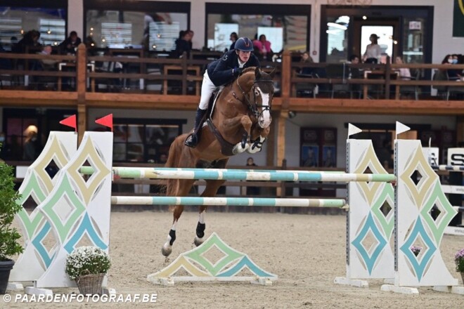 Embryo veilingtopper Horseman Auction