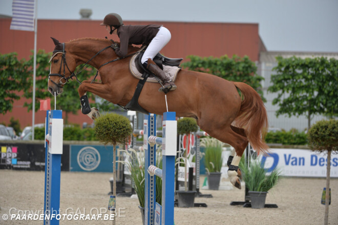 Winst voor Femke De Graaf in 1.30 GP bij JV Horses